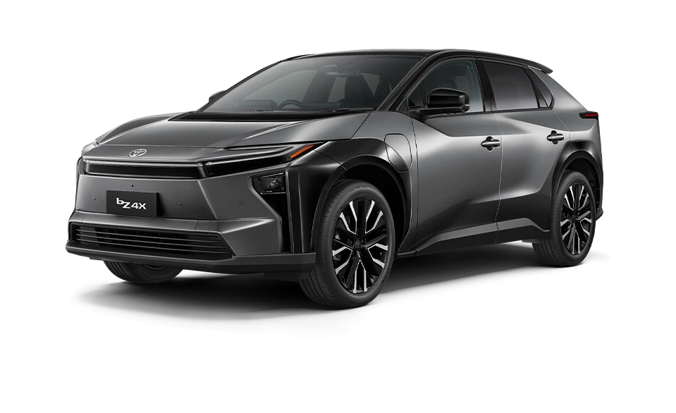 Precious Metal / Black Roof